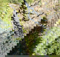 Morans Falls track Lamington National Park - Holiday Adelaide