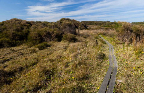 Murramarang Aboriginal Area Walking Track - Holiday Adelaide 0