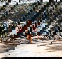 Myponga Reservoir Trail - Holiday Adelaide