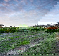 Nature and Foodies Trail - Holiday Adelaide