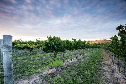Nature And Foodies Trail - Holiday Adelaide 0