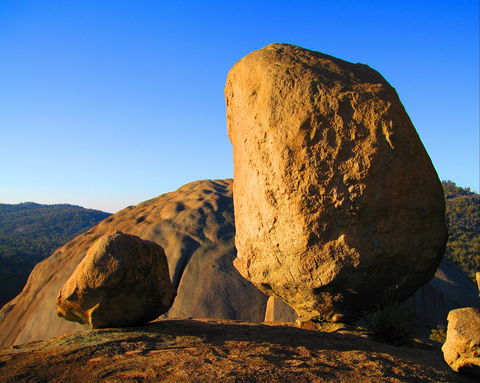 Nature And Foodies Trail - Holiday Adelaide 1