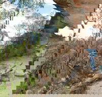 Pilliga National Park - Holiday Adelaide
