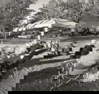 Pioneer Park - Holiday Adelaide