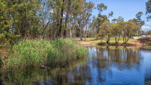 Pioneer Park - Holiday Adelaide 2