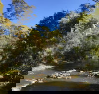 Pipers River Board Walk - Holiday Adelaide