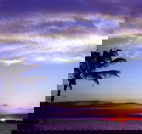 Quoin Island Retreat and Turtle Rehabilitation Centre - Holiday Adelaide