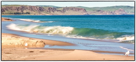 Starfish Hill Windfarm - Holiday Adelaide 0