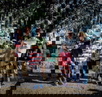 State Forests of the Watagan Mountains - Holiday Adelaide