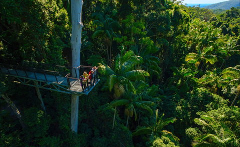 Tamborine Rainforest Skywalk - Holiday Adelaide 0