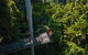 Tamborine Rainforest Skywalk - thumb 1