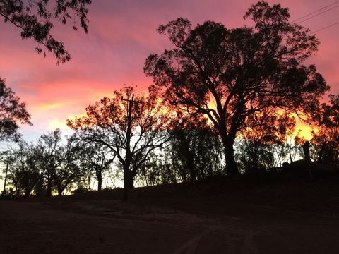 The Historic Barwon Bridge - Holiday Adelaide 1