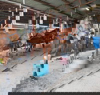 The Equine Club - Holiday Adelaide