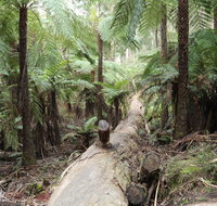 Upper Yarra Reservoir Park