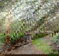 Venman Bushland National Park - Holiday Adelaide