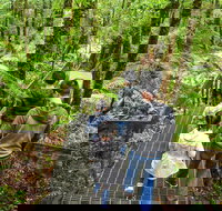 Yarra Ranges National Park - Holiday Adelaide
