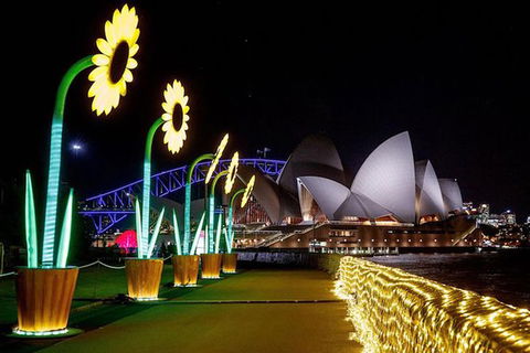 Vivid 90-Minute Sydney Harbour Intimate Catamaran Cruise With Canapes - Holiday Adelaide 4