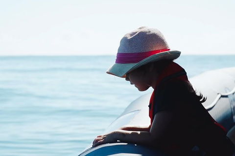 Premier Whale Watching Byron Bay - Holiday Adelaide 3