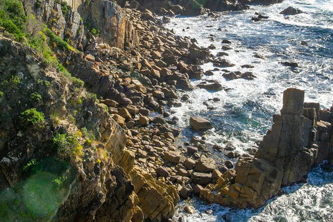 Beaches Of Eden Photographic Discovery Tours - Holiday Adelaide 21