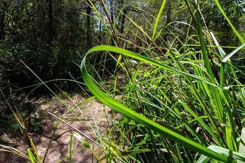 Beaches Of Eden Photographic Discovery Tours - Holiday Adelaide 22