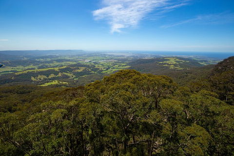 Illawarra Fly Treetop Adventures Treetop Walk Admission Ticket - Holiday Adelaide 6