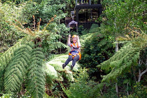 Illawarra Fly Treetop Adventures Treetop Walk Admission Ticket - Holiday Adelaide 2