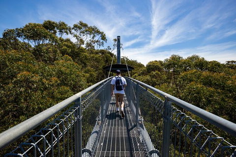 Illawarra Fly Treetop Adventures Treetop Walk Admission Ticket - Holiday Adelaide 0