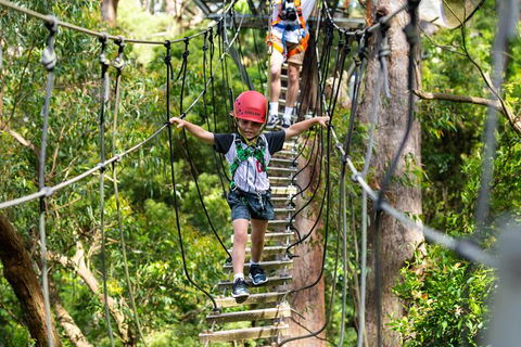Illawarra Fly Treetop Adventures Treetop Walk Admission Ticket - Holiday Adelaide 3