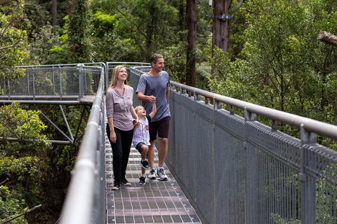 Illawarra Fly Treetop Adventures Treetop Walk Admission Ticket - Holiday Adelaide 1