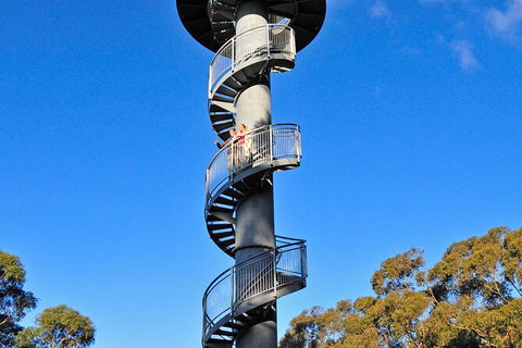 Illawarra Fly Treetop Adventures Treetop Walk Admission Ticket - Holiday Adelaide 5