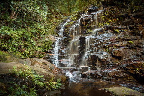 Ultimate Blue Mountains Waterfalls, Walks & Sunset PRIVATE Tour - Holiday Adelaide 10