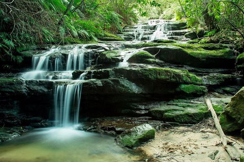 Ultimate Blue Mountains Waterfalls, Walks & Sunset PRIVATE Tour - Holiday Adelaide 2