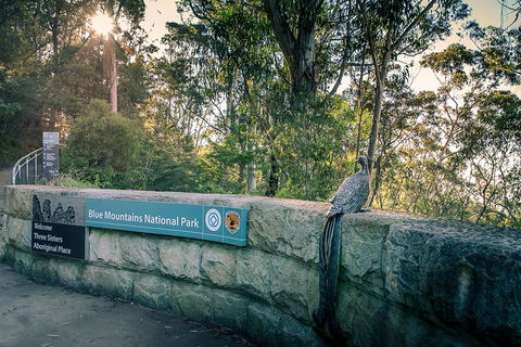 Ultimate Blue Mountains Waterfalls, Walks & Sunset PRIVATE Tour - Holiday Adelaide 8