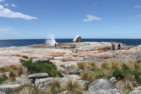 Bicheno Blowhole - Holiday Adelaide 1