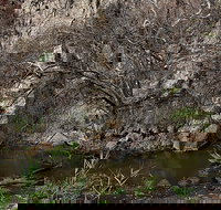 Brisbane Ranges National Park - Holiday Adelaide