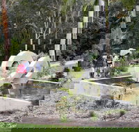 Maroochy Regional Bushland Botanic Garden - Holiday Adelaide