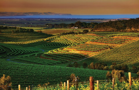 Mclaren Vale - Holiday Adelaide 1
