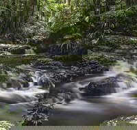 Protesters Falls Walking Track - Holiday Adelaide