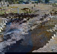 Wangaraleednie Monument  Ruins