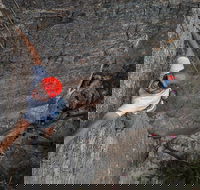 Small-Group Weekend Rock Climbing Adventure from Katoomba - Holiday Adelaide