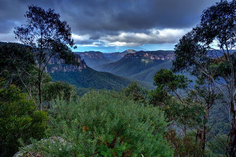 Ultimate Blue Mountains And Wildlife Tour - Holiday Adelaide 6