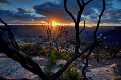 Ultimate Blue Mountains And Wildlife Tour - Holiday Adelaide 0
