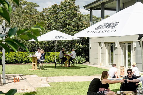 Tulloch Wines- Mystery Wine Tasting Experience With Local Cheese And Charcuterie - Holiday Adelaide 5