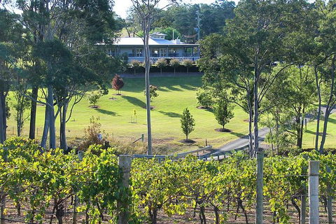 Tulloch Wines- Mystery Wine Tasting Experience With Local Cheese And Charcuterie - Holiday Adelaide 9