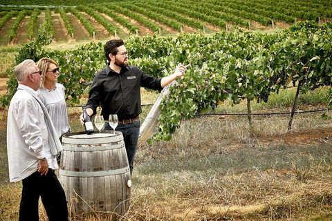 VIP Soil-To-Cellar Experience - Holiday Adelaide 0