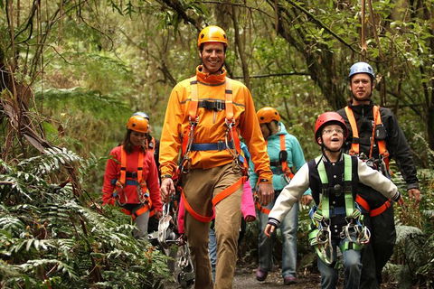 Illawarra Fly Treetop Adventures Admission Including Zipline Tour - Holiday Adelaide 1