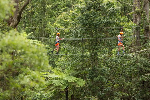 Illawarra Fly Treetop Adventures Admission Including Zipline Tour - Holiday Adelaide 0