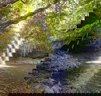 Half-Day Best Of Byron Sightseeing Tour - Holiday Adelaide