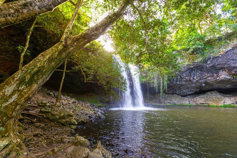 Half-Day Best Of Byron Sightseeing Tour - Holiday Adelaide 0
