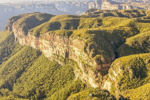 Small Group Blue Mountains, Featherdale, Lunch & Cruise Day Tour - Holiday Adelaide 7